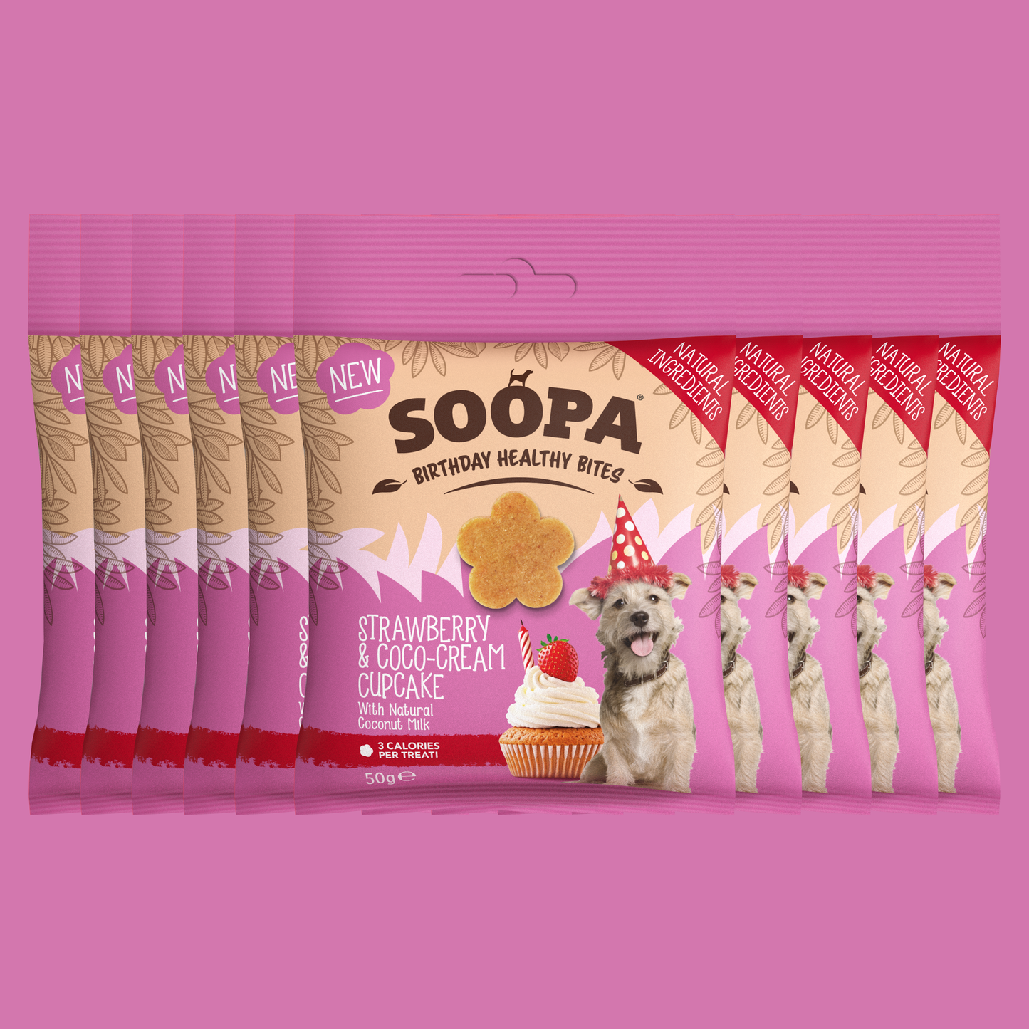 Hunde Leckerlis Erdbeer & Kokos-Creme Cupcake