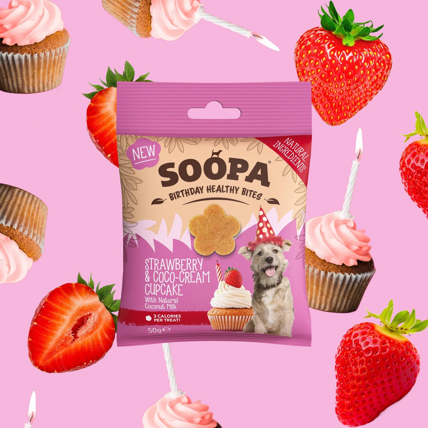 Hunde Leckerlis Erdbeer & Kokos-Creme Cupcake